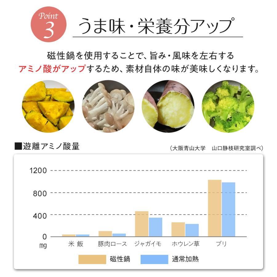 母の日 両手鍋 調理器具 L 26cm 電子レンジok 対応 おしゃれ 大容量 大きいサイズ 大型 3人用 4人用 便利グッズ 磁性鍋｜cosmos-shizen｜06