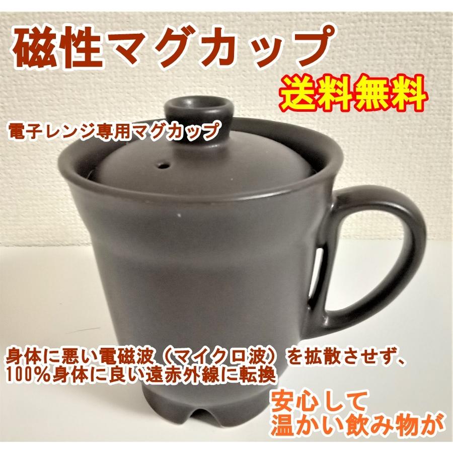 磁性マグカップ 電子レンジ専用調理器具 安心 省エネ おいしい 旨味