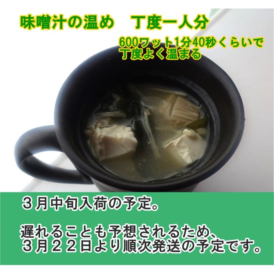 磁性マグカップ 2個セット 電子レンジ専用調理器具 安心 省エネ