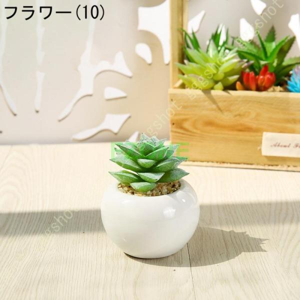 サボテン 多肉植物 フェイクグリーン 人工観葉植物 卓上 置物 サンスベリア ユーカリ 世話いらず 水やり不要 オフィス 窓側 家 寝室 バスルーム｜cosmos-wumf｜11