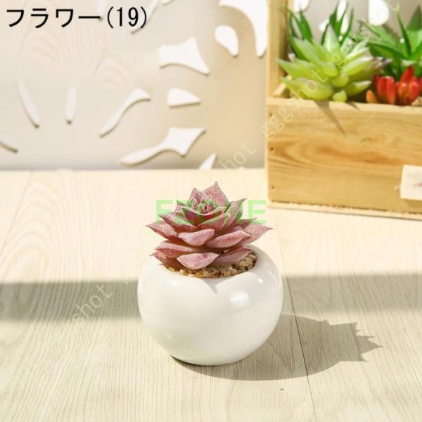 サボテン 多肉植物 フェイクグリーン 人工観葉植物 卓上 置物 サンスベリア ユーカリ 世話いらず 水やり不要 オフィス 窓側 家 寝室 バスルーム｜cosmos-wumf｜20