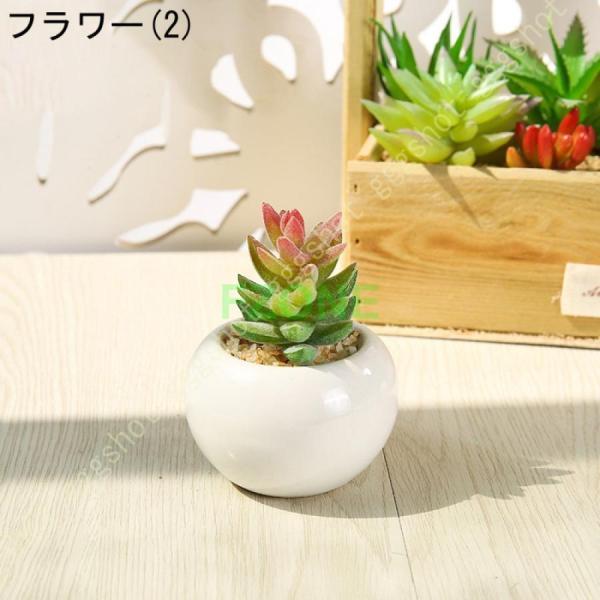 サボテン 多肉植物 フェイクグリーン 人工観葉植物 卓上 置物 サンスベリア ユーカリ 世話いらず 水やり不要 オフィス 窓側 家 寝室 バスルーム｜cosmos-wumf｜03