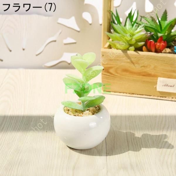 サボテン 多肉植物 フェイクグリーン 人工観葉植物 卓上 置物 サンスベリア ユーカリ 世話いらず 水やり不要 オフィス 窓側 家 寝室 バスルーム｜cosmos-wumf｜08