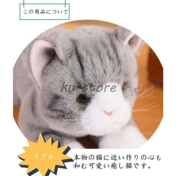 ぬいぐるみ ねこ ネコ 猫 フワフワ抱き枕 おもちゃ リアル 置物 キャラクター かわいい犬 ポメラニアン 伏せる姿 抱きまくら 子供 お誕生御祝い ギフト｜cosmos-wumf｜10