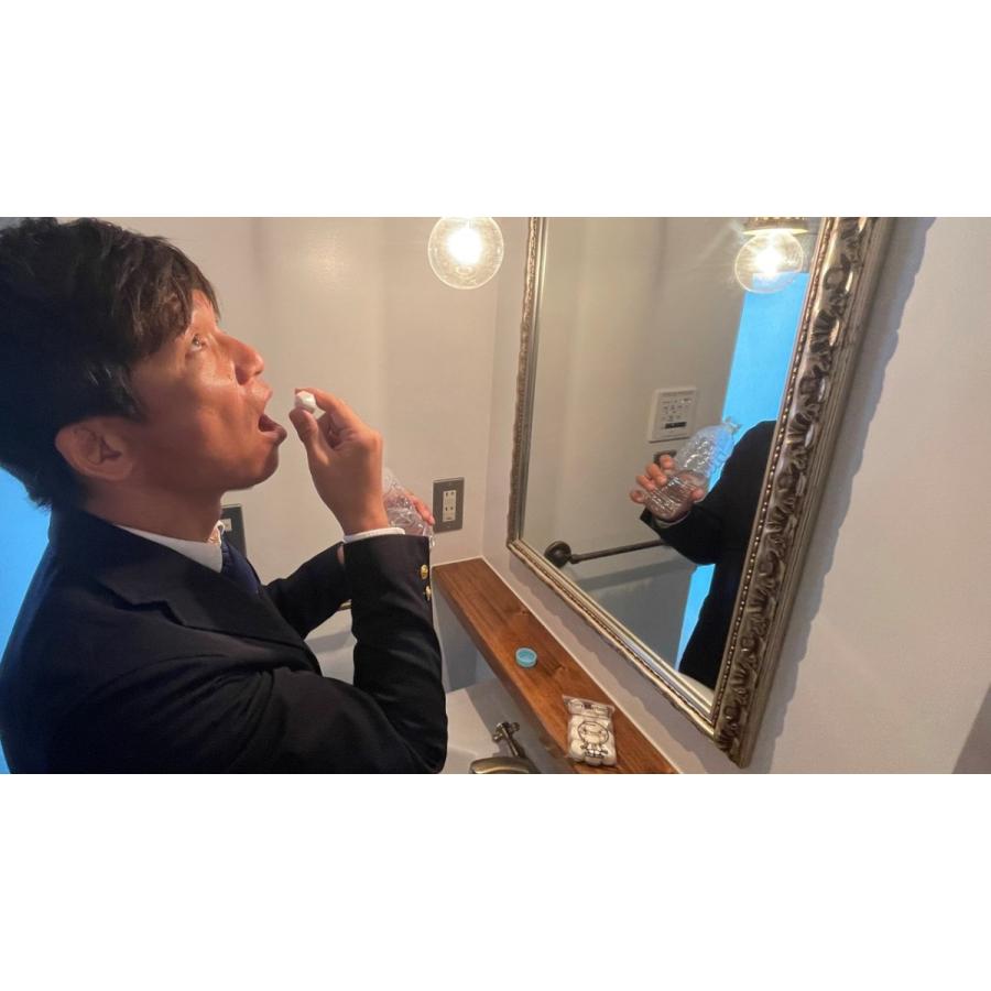 シンプルテイン15包10パック1箱 |  | 10