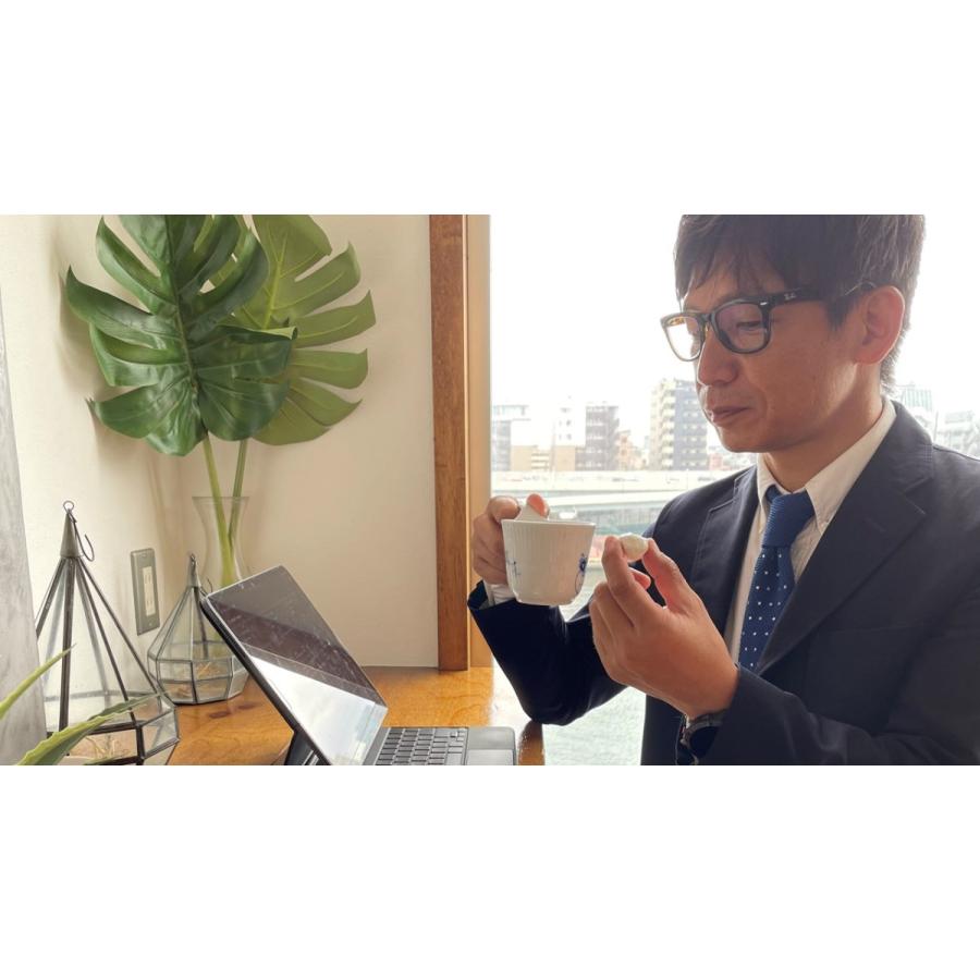 シンプルテイン15包10パック1箱 |  | 08