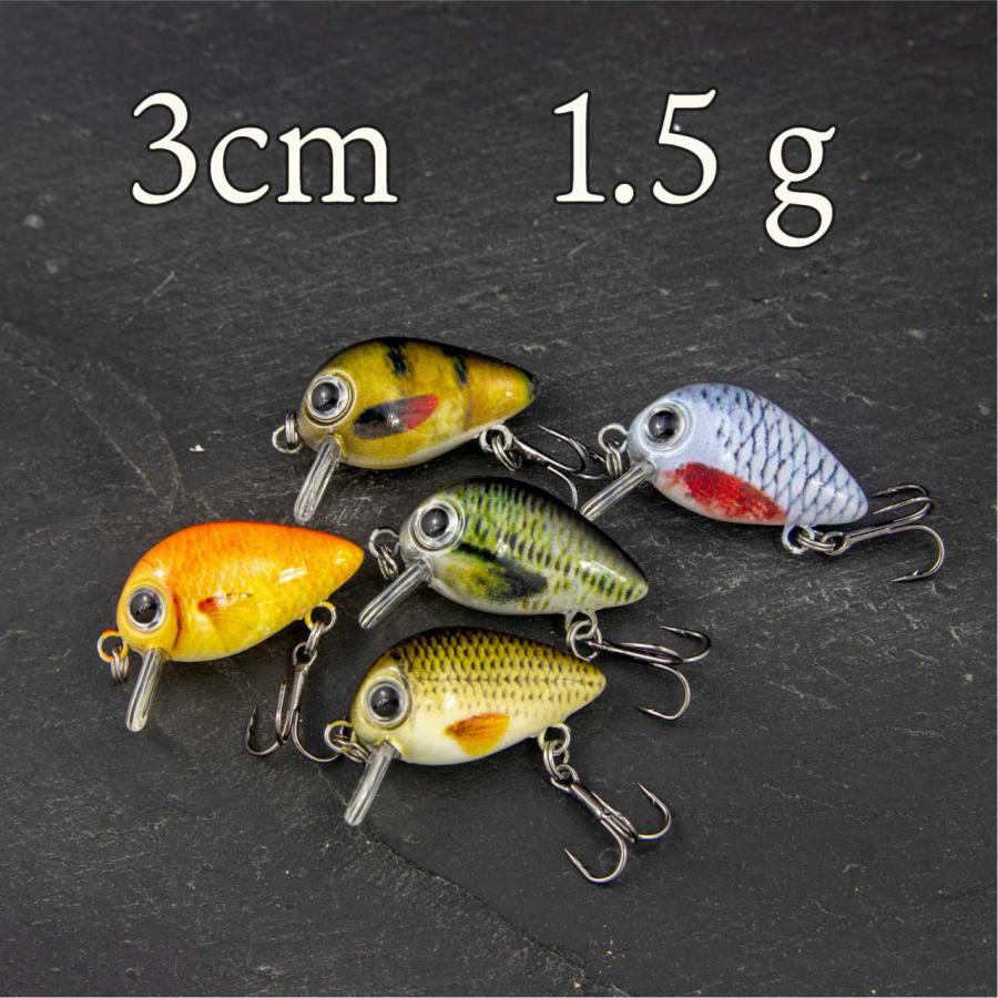 クランクベイトセット 多色 釣り用 クランクベイトセット 多色 釣り用 楽天市場】ルアーセット 5個 収納