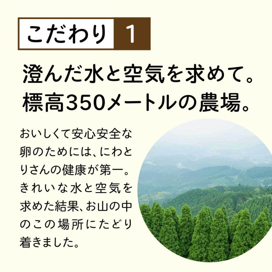 新しい季節 雲の上の卵 5kg 割れ補償含む80個 送料無料 たまご 玉子 ダイエット 健康 ギフト ご贈答品 熨斗あり Cisama Sc Gov Br
