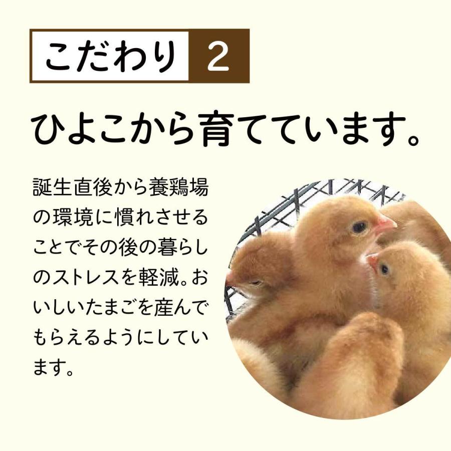 新しい季節 雲の上の卵 5kg 割れ補償含む80個 送料無料 たまご 玉子 ダイエット 健康 ギフト ご贈答品 熨斗あり Cisama Sc Gov Br