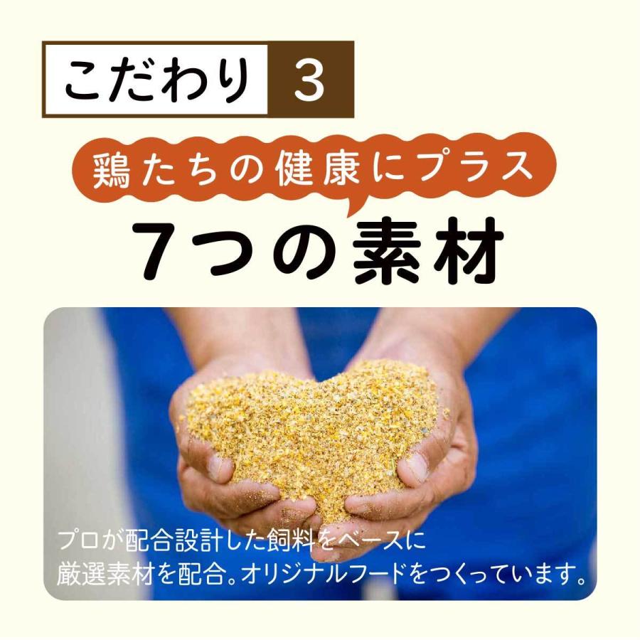 新しい季節 雲の上の卵 5kg 割れ補償含む80個 送料無料 たまご 玉子 ダイエット 健康 ギフト ご贈答品 熨斗あり Cisama Sc Gov Br