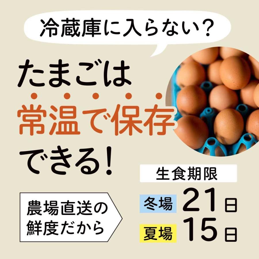 新しい季節 雲の上の卵 5kg 割れ補償含む80個 送料無料 たまご 玉子 ダイエット 健康 ギフト ご贈答品 熨斗あり Cisama Sc Gov Br