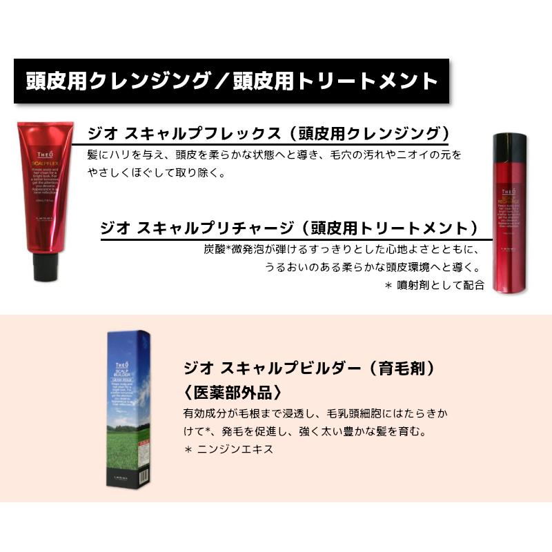 ルベル ジオ スキャルプフレックス ＜頭皮用クレンジング＞ 230ml | 4952195651078　単品｜cospaplus｜03