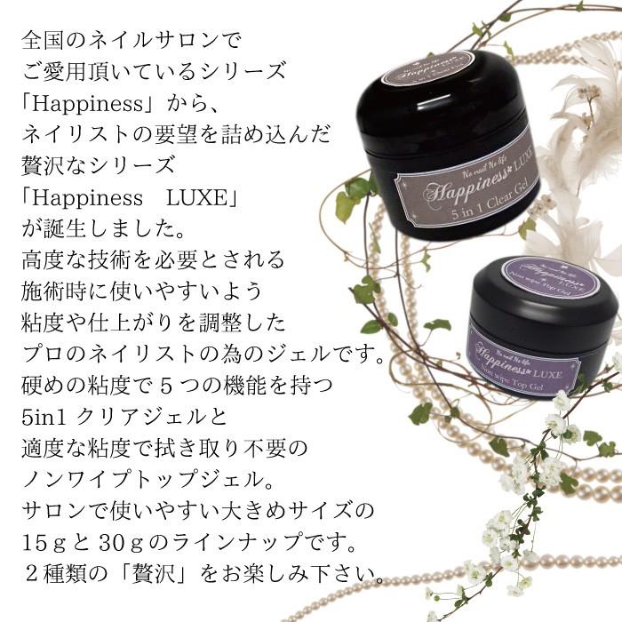 ふき取りのいらないノンワイプトップコートジェル業務用３０ｇ｜cosumeki｜03