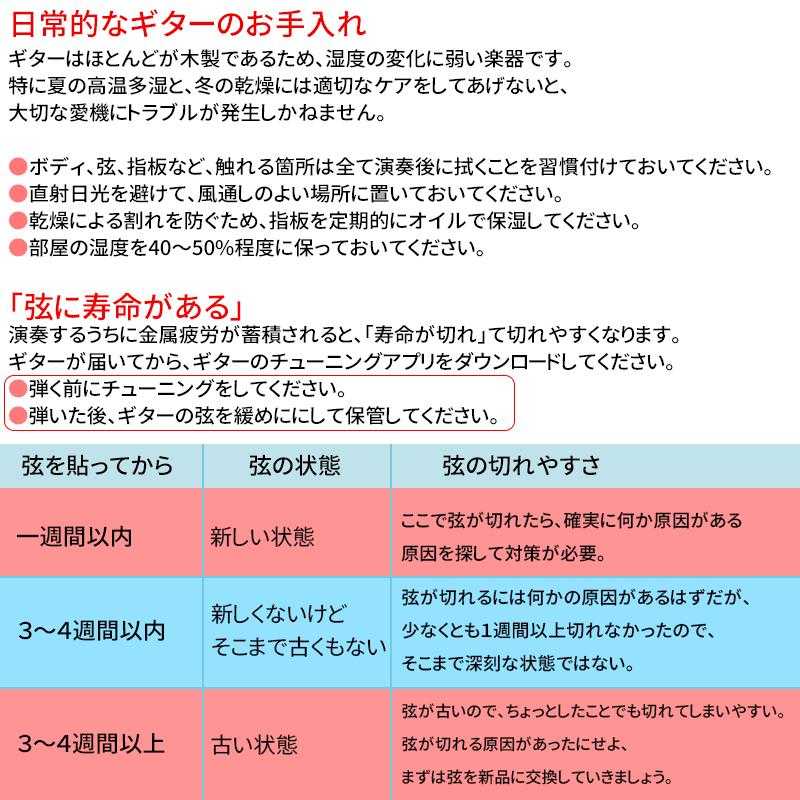 NADLE ギター 16点セット アコースティックギター ギターセット 入門 