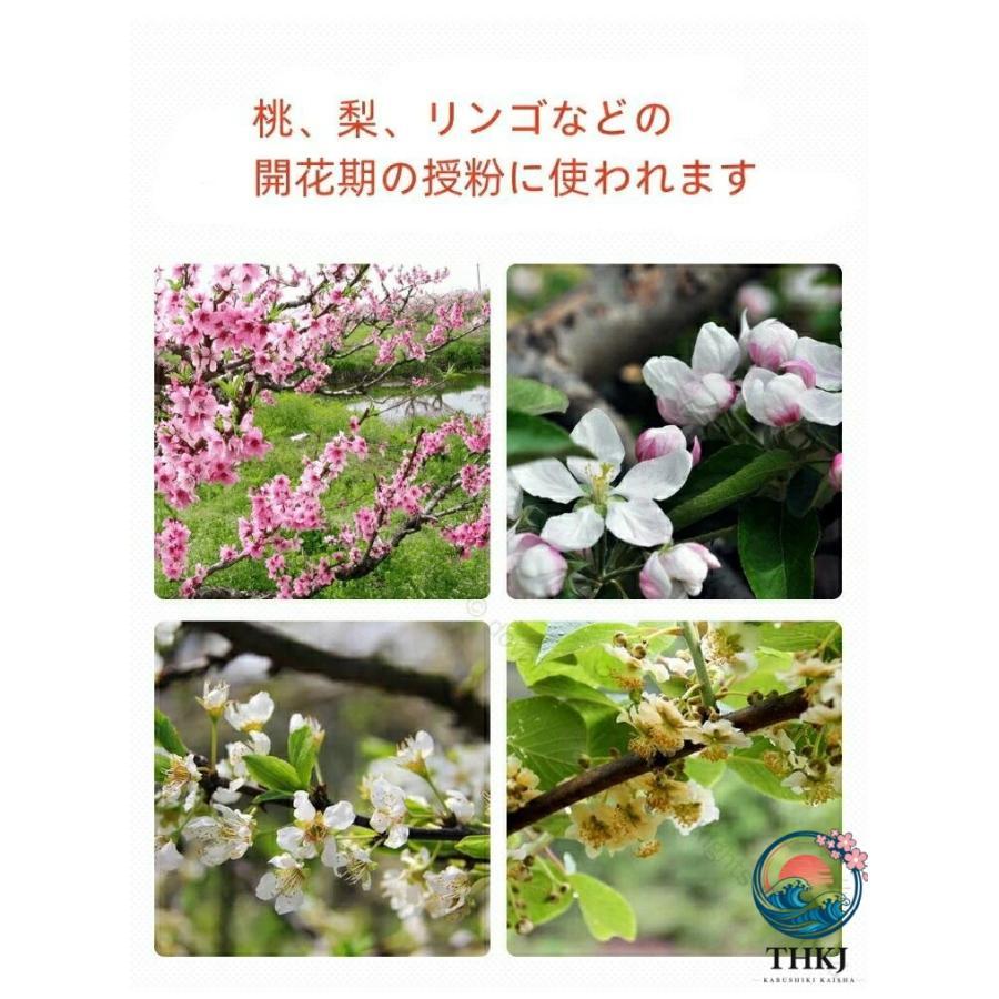 果樹花粉交配機 人工授粉ツール 伸縮式ポリネーター 手動エアバッグ式