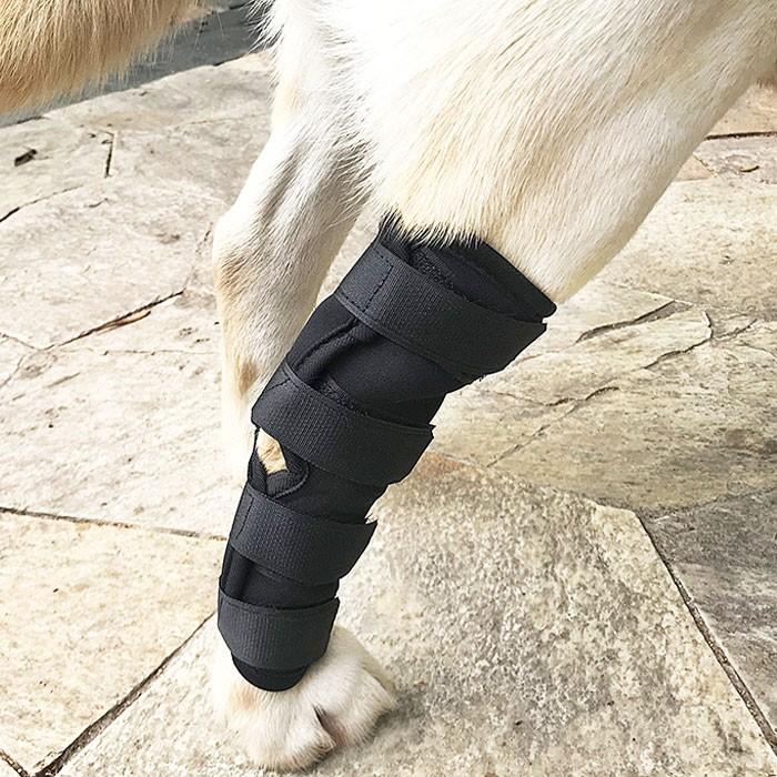 犬用 ひざ サポーター 関節 骨折治療 プロテクター 膝 脚 足 ペット用品 ケア リハビリ 捻挫 筋挫傷 外科用 傷を保護 愛犬 マジックテープ 通気性 小型犬 大型犬 | COTEN | 06