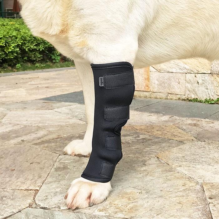 犬用 ひざ サポーター 関節 骨折治療 プロテクター 膝 脚 足 ペット用品 ケア リハビリ 捻挫 筋挫傷 外科用 傷を保護 愛犬 マジックテープ 通気性 小型犬 大型犬 | COTEN | 07