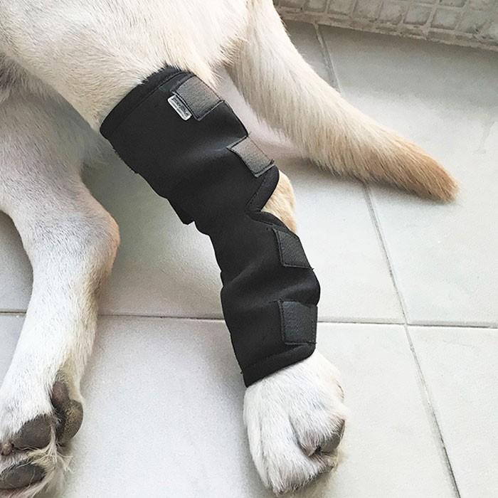 犬用 ひざ サポーター 関節 骨折治療 プロテクター 膝 脚 足 ペット用品 ケア リハビリ 捻挫 筋挫傷 外科用 傷を保護 愛犬 マジックテープ 通気性 小型犬 大型犬 | COTEN | 08