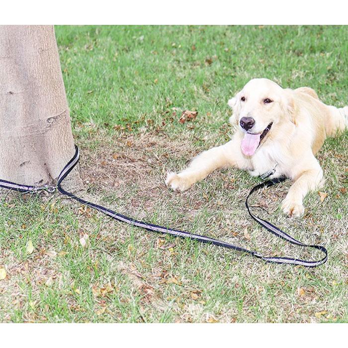 犬 ショルダー リード 腰に巻ける 肩掛け お散歩 ロング ペット用品 ハンズフリー ランニング ジョギング 便利 長い 愛犬 小型犬 中型犬 大型犬 反射素材 | COTEN | 06