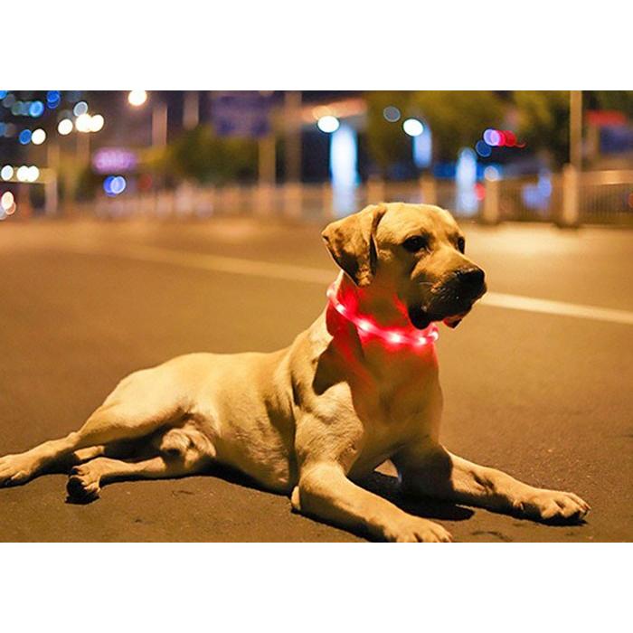 調整式 光る 首輪 犬 LED USB充電 ペット 光 点灯 点滅 蛍光 小型犬 中型犬 大型犬 夜 散歩 安全 事故防止 安全グッズ サイズ調整可 おしゃれ かわいい | COTEN | 09