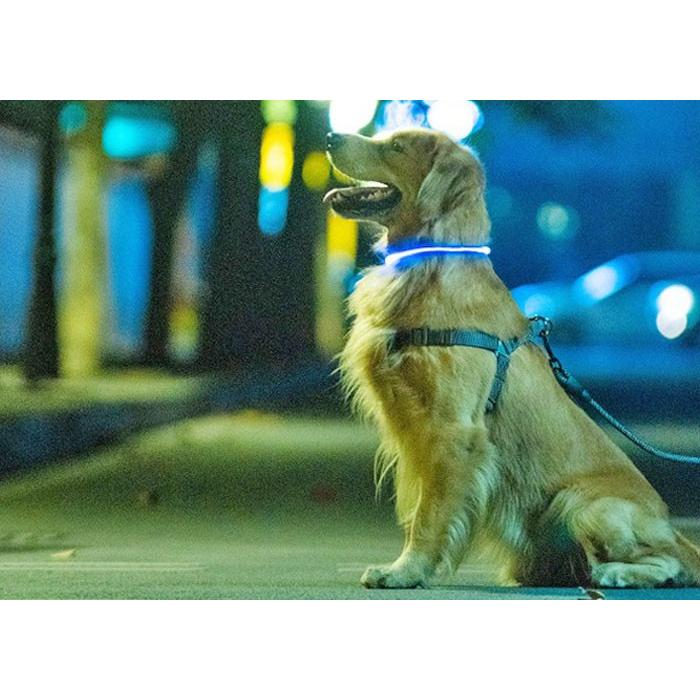 調整式 光る 首輪 犬 LED USB充電 ペット 光 点灯 点滅 蛍光 小型犬 中型犬 大型犬 夜 散歩 安全 事故防止 安全グッズ サイズ調整可 おしゃれ かわいい | COTEN | 10