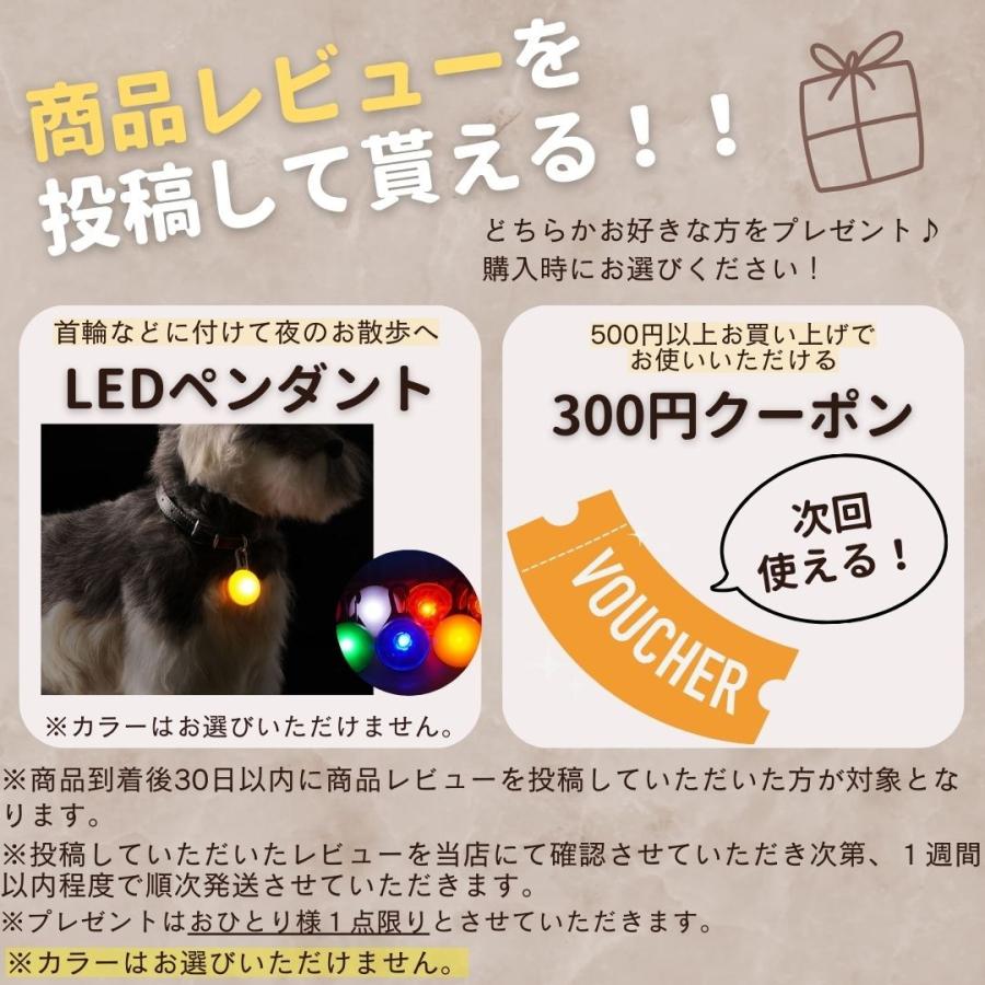 調整式 光る 首輪 犬 LED USB充電 ペット 光 点灯 点滅 蛍光 小型犬 中型犬 大型犬 夜 散歩 安全 事故防止 安全グッズ サイズ調整可 おしゃれ かわいい | COTEN | 19