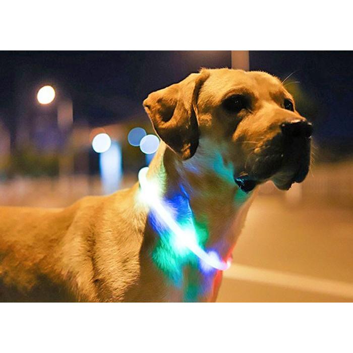 調整式 光る 首輪 犬 LED USB充電 ペット 光 点灯 点滅 蛍光 小型犬 中型犬 大型犬 夜 散歩 安全 事故防止 安全グッズ サイズ調整可 おしゃれ かわいい | COTEN | 08