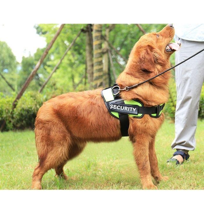 犬用 ハーネス | 散歩 反射布付き 犬 ペット 超小型犬 小型犬 中型犬 大型犬 散歩 着けやすい 脱げない 簡単装着 胴輪 ペット ペット用品 おしゃれ | COTEN | 05