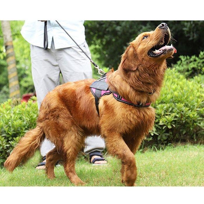 犬用 ハーネス | 散歩 反射布付き 犬 ペット 超小型犬 小型犬 中型犬 大型犬 散歩 着けやすい 脱げない 簡単装着 胴輪 ペット ペット用品 おしゃれ | COTEN | 06