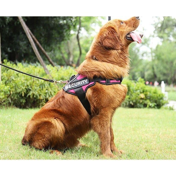 犬用 ハーネス | 散歩 反射布付き 犬 ペット 超小型犬 小型犬 中型犬 大型犬 散歩 着けやすい 脱げない 簡単装着 胴輪 ペット ペット用品 おしゃれ | COTEN | 07