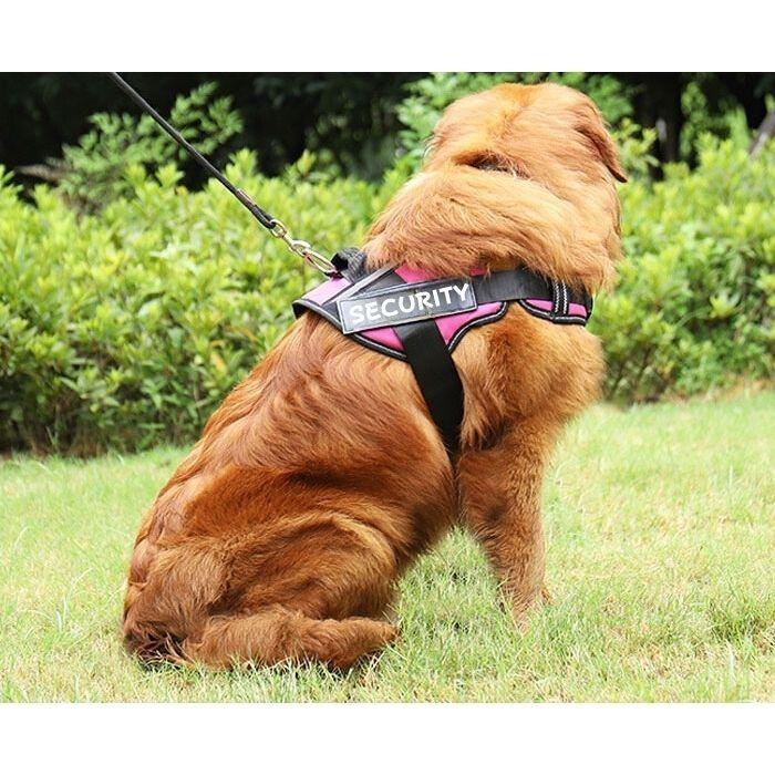 犬用 ハーネス | 散歩 反射布付き 犬 ペット 超小型犬 小型犬 中型犬 大型犬 散歩 着けやすい 脱げない 簡単装着 胴輪 ペット ペット用品 おしゃれ | COTEN | 08