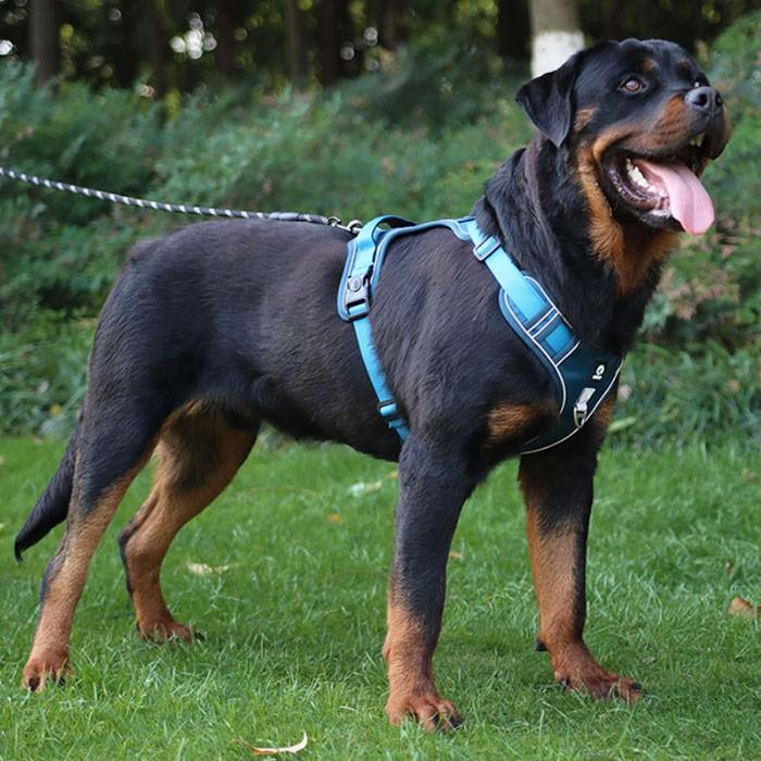 犬用 ハーネス 散歩 反射布付き 犬 ペット 超小型犬 小型犬 中型犬 大型犬 散歩 ワンちゃん 愛犬 反射テープ 夜道 丈夫 | COTEN | 12