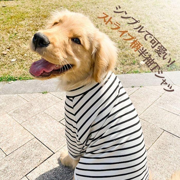 COTEN 犬服 ドッグウェア オールシーズン 薄手 中型犬 大型犬 半袖 T