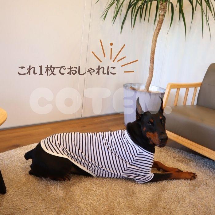 COTEN 犬服 ドッグウェア オールシーズン 薄手 中型犬 大型犬 半袖 T