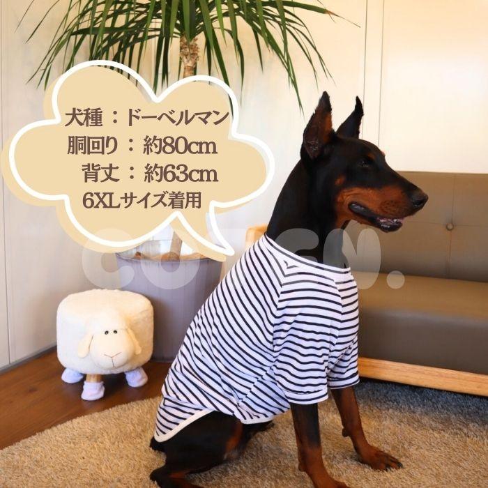国産ヒューマングレード大型犬＆ドーベルマン服