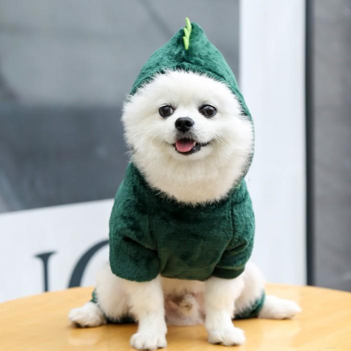 犬服 ドッグウェア 小型犬 寅 虎 恐竜 龍 コスプレ 可愛い 愛犬 裏起毛 お正月 年賀状 新年 イベントお出かけ お散歩 撮影 送料無料 きょうりゅう 動物 | COTEN | 06