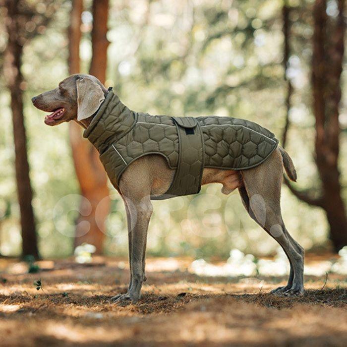 COTEN クリアランスセール 犬 服 ドッグウェア ジャンバー ジャケット 