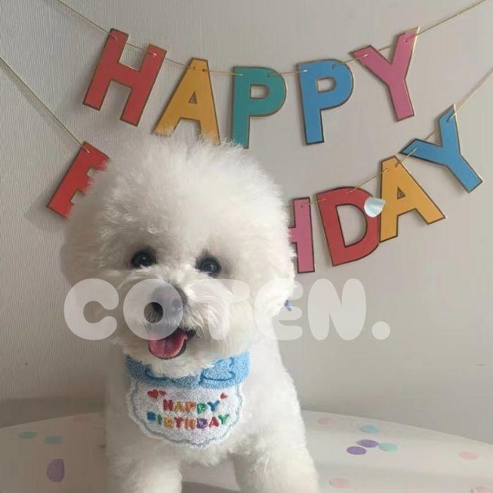 犬 誕生日 グッズ セット バースデー 帽子 スタイ ペット 小型犬 中型犬 猫 お誕生日会 飾り パーティー 愛犬 イベント 首 巻く happybirthday 可愛い COTEN | COTEN | 03
