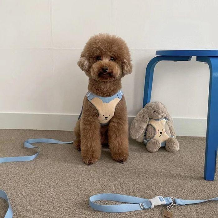 犬 猫 ハーネス リード セット リード付き ウェアハーネス 服 簡単 胴輪 脱げない 可愛い おしゃれ 韓国風 アニマル お散歩 お出かけ 小型犬 中型犬 人気 ペット | COTEN | 04