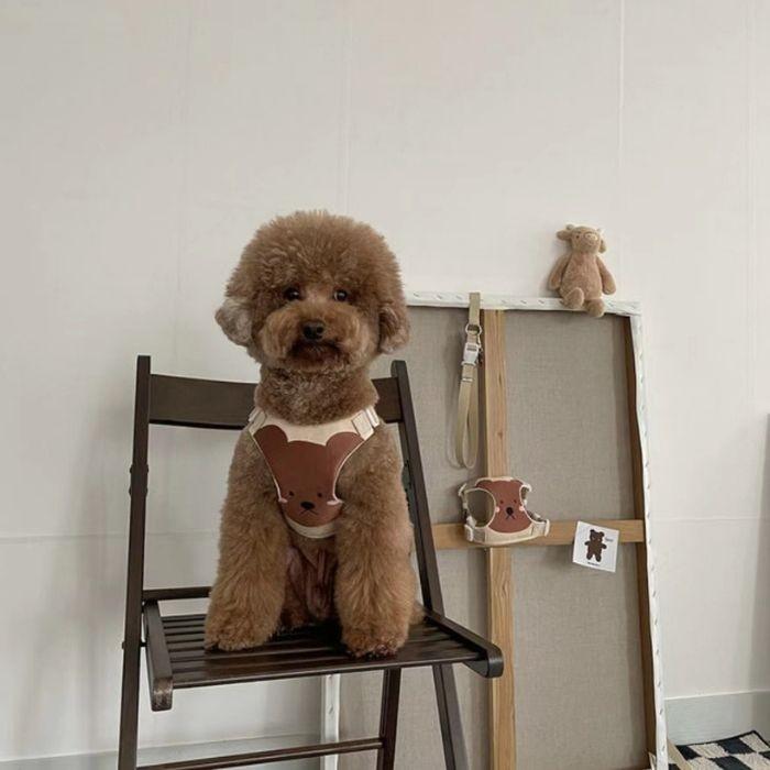 犬 猫 ハーネス リード セット リード付き ウェアハーネス 服 簡単 胴輪 脱げない 可愛い おしゃれ 韓国風 アニマル お散歩 お出かけ 小型犬 中型犬 人気 ペット | COTEN | 05