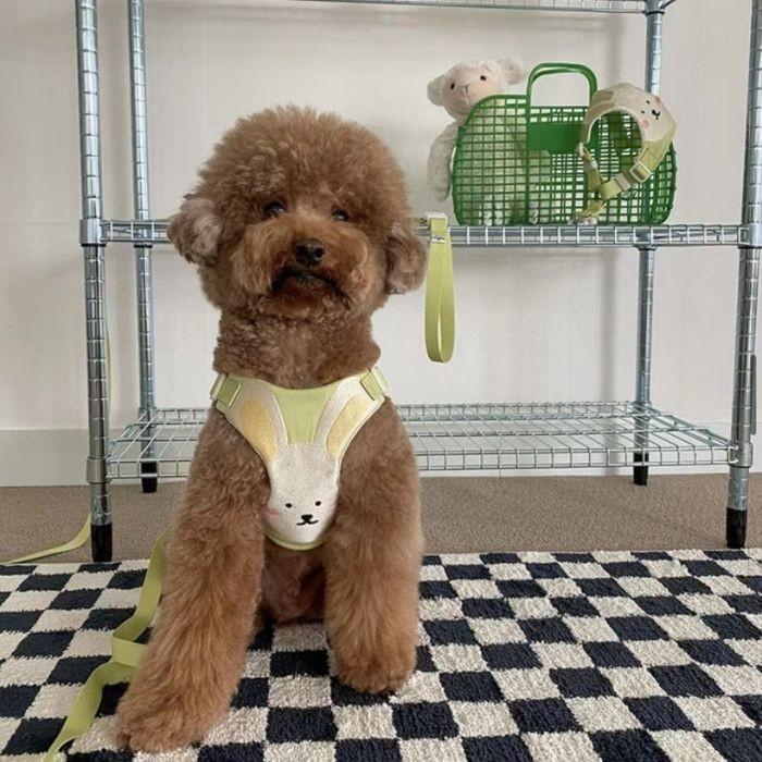 犬 猫 ハーネス リード セット リード付き ウェアハーネス 服 簡単 胴輪 脱げない 可愛い おしゃれ 韓国風 アニマル お散歩 お出かけ 小型犬 中型犬 人気 ペット | COTEN | 06