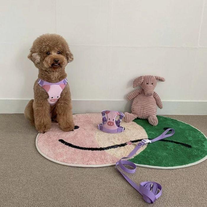 犬 猫 ハーネス リード セット リード付き ウェアハーネス 服 簡単 胴輪 脱げない 可愛い おしゃれ 韓国風 アニマル お散歩 お出かけ 小型犬 中型犬 人気 ペット | COTEN | 07