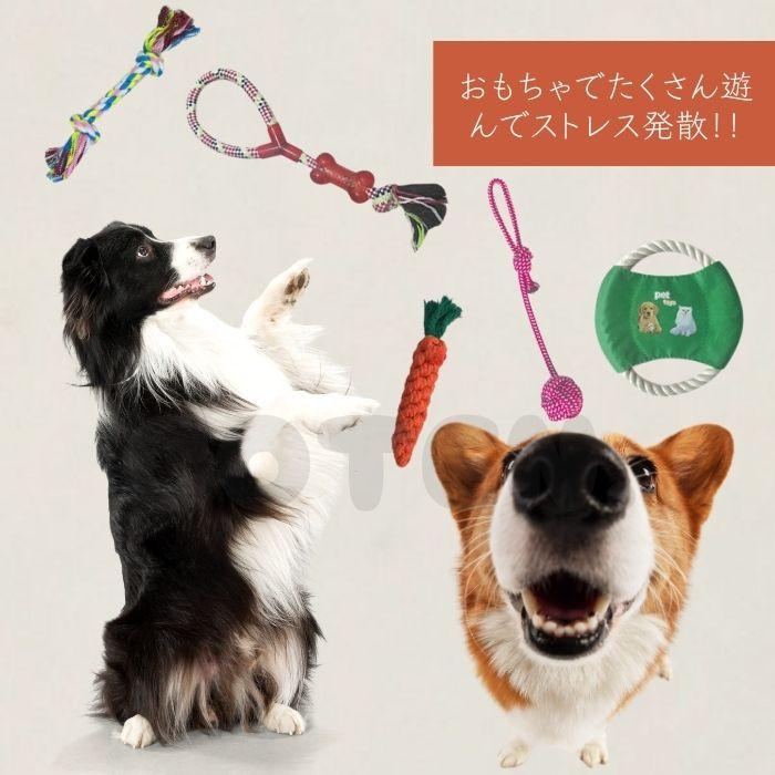 犬 おもちゃ 10点セット ボール ロープ 知育玩具 ノーズワーク 引っ張り 大容量 縄 デンタルケア ストレス 発散 ペット ペット用品 遊び ぬいぐるみ 玩具 COTEN | COTEN | 02