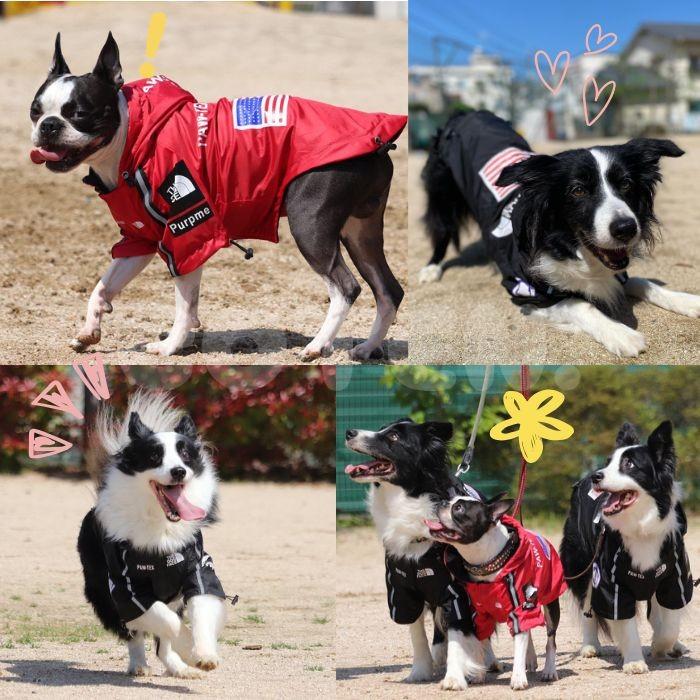 犬服 レインコート 雨具 おしゃれ 可愛い 小型犬 中型犬 大型犬  防水 着せやすい フード カッパ 調節可能 袖あり COTEN | COTEN | 11