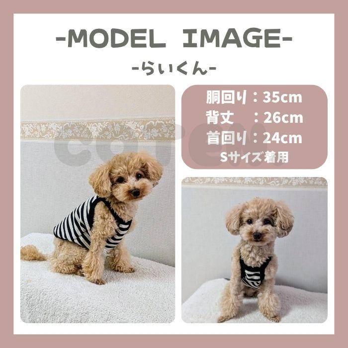 犬服 夏服 キャミソール ドッグウェア 可愛い おしゃれ タンクトップ ボーダー Tシャツ 袖なし 着せやすい 柔らかい 春 夏 秋 冬 COTEN | COTEN | 09