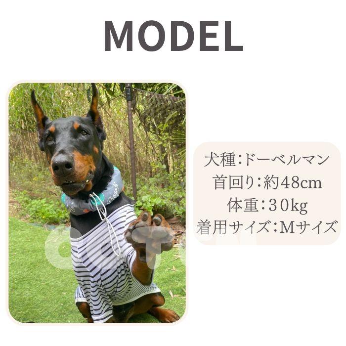 犬 クールネック 保冷剤付き 暑さ対策 ネッククーラー 夏 ひんやり 冷却 調節可能 お散歩 熱中症対策 可愛い おしゃれ 首 冷やす COTEN | COTEN | 07