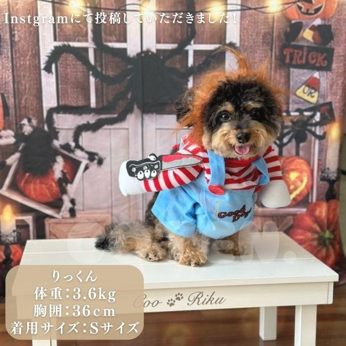 ハロウィン 犬 着ぐるみ コスプレ 変装 おもしろグッズ 小型犬 中型犬 大型犬 ドッグウェア カツラ 2点セット 仮装 パーティー COTEN | COTEN | 06