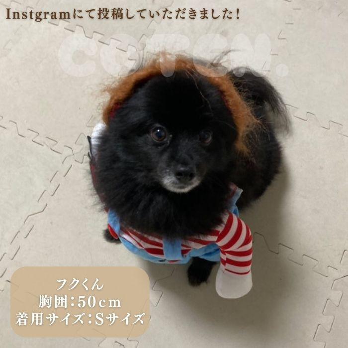 ハロウィン 犬 着ぐるみ コスプレ 変装 おもしろグッズ 小型犬 中型犬 大型犬 ドッグウェア カツラ 2点セット 仮装 パーティー COTEN | COTEN | 07