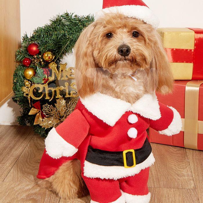 犬 クリスマス サンタクロース コスプレ 帽子 服 2点セット サンタさん なりきり ペット用 犬用サンタコスプレ 可愛い 面白い イベント お散歩 ペット COTEN | COTEN | 01