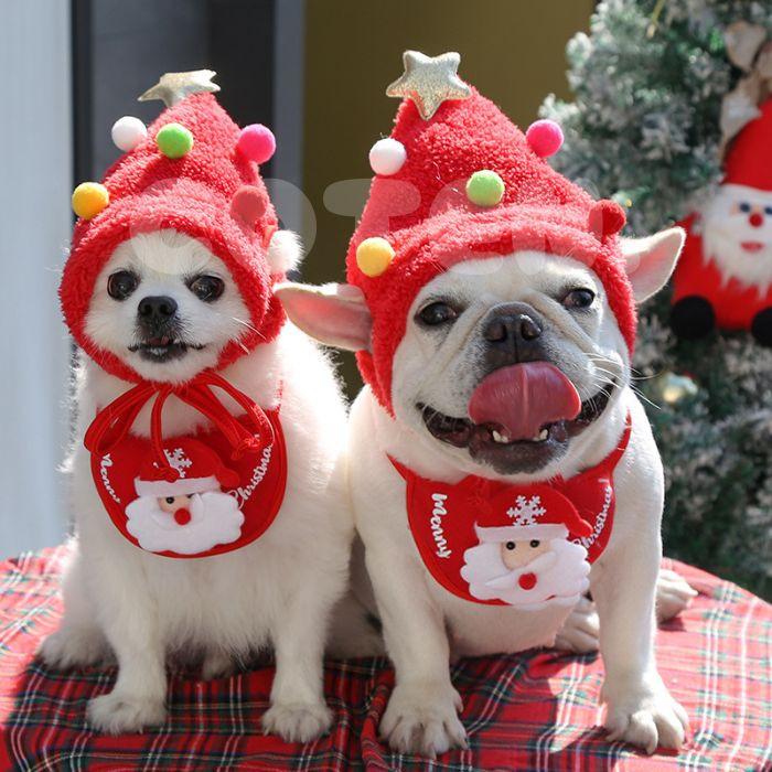 犬 クリスマス スタイ 帽子 2点セット コスプレ サンタクロース トナカイ 犬用クリスマス 可愛い 仮装 簡単 紐 S L ペット サンタ COTEN | COTEN | 01